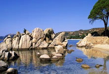 开云体育中国-马赛鏖战巴萨,费兰·托雷斯绝境逆转:足球世界的惊喜与激情